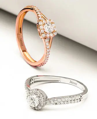 Avelia Collection